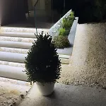 Maria Apartmán *